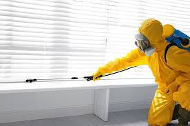 Best Indoor Pest Control  in Morongo Valley, CA